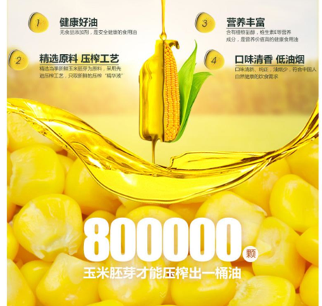 玉米胚芽油加工設備多少錢一套，七個環節讓你了解一清二楚