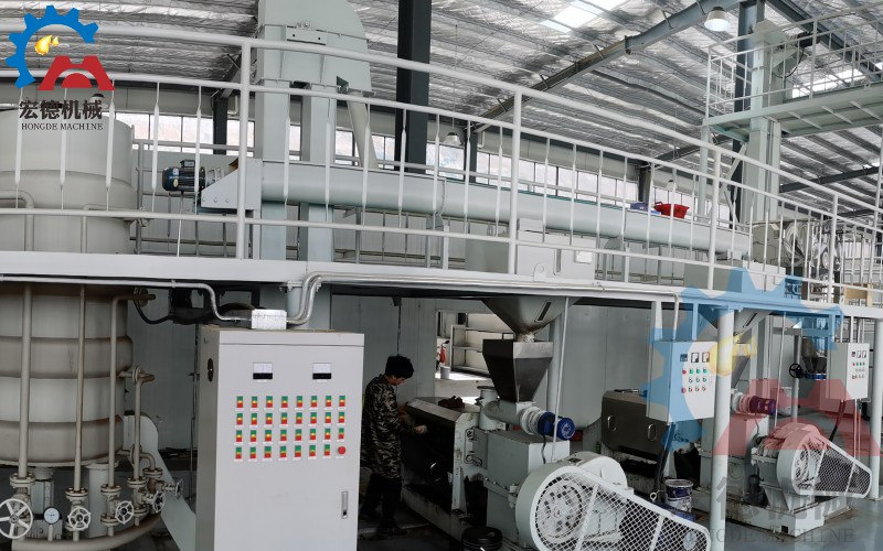 冷榨茶籽油，預處理工藝對成品油質量出油率影響很大